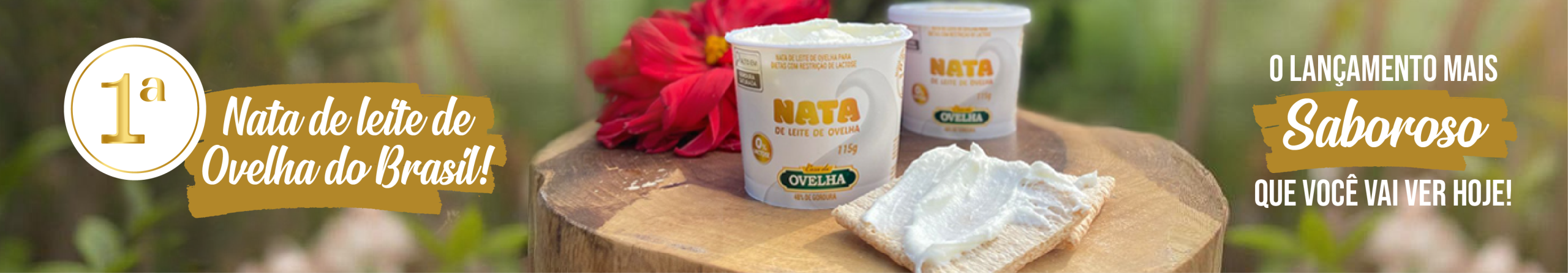 NATA DE LEITE DE OVELHA